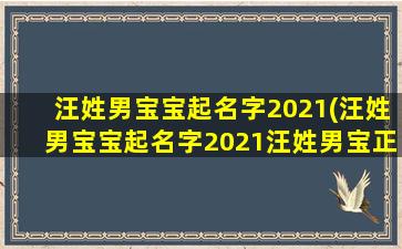 汪姓男宝宝起名字2021(汪姓男宝宝起名字2021汪姓男宝正字派 🌹 )